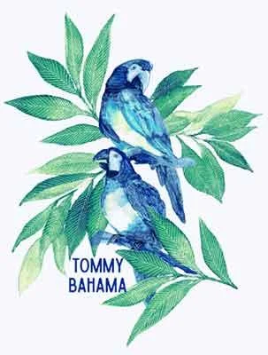 Tommy Bahama Birds Of A Feather T-Shirt - White Cool Men's Skate